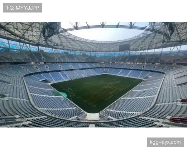 多特蒙德主场信号公园球场承办欧洲杯赛事